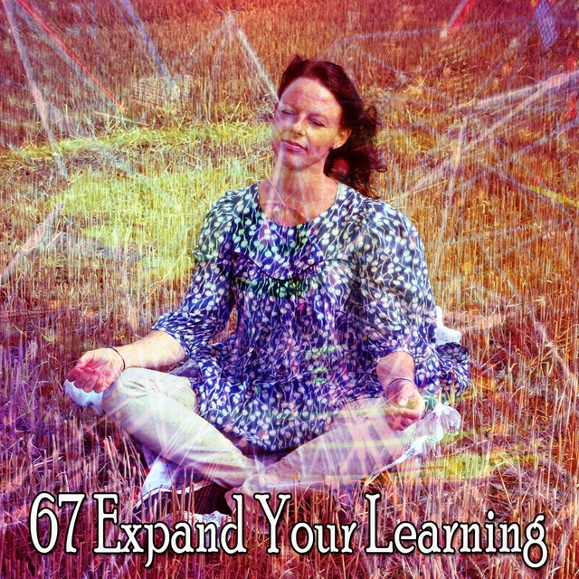 Couverture de 67 Expand Your Learning