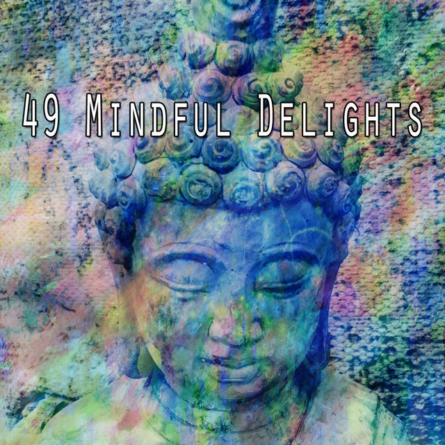 Couverture de 49 Mindful Delights