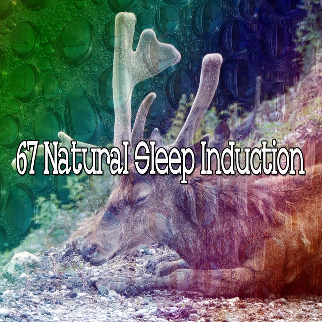Couverture de 67 Natural Sleep Induction