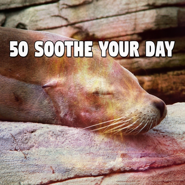 50 Soothe Your Day