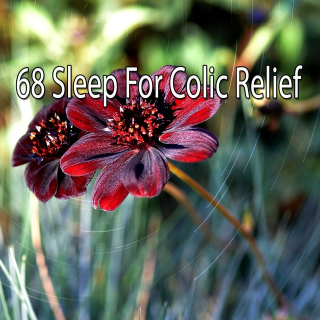 Couverture de 68 Sleep for Colic Relief