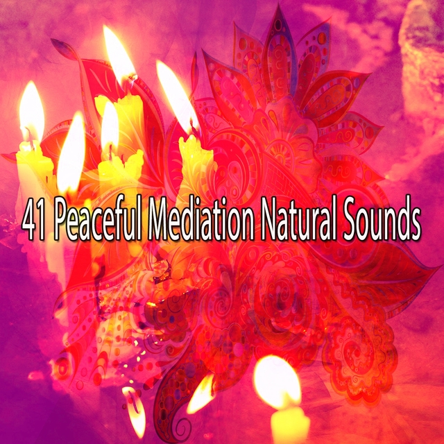 Couverture de 41 Peaceful Mediation Natural Sounds