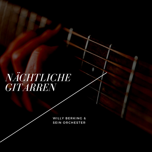 Nächtliche Gitarren