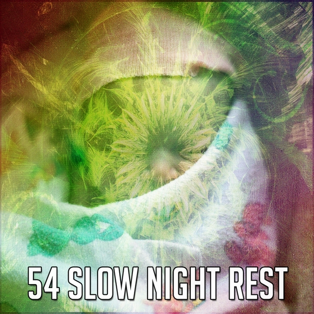 Couverture de 54 Slow Night Rest