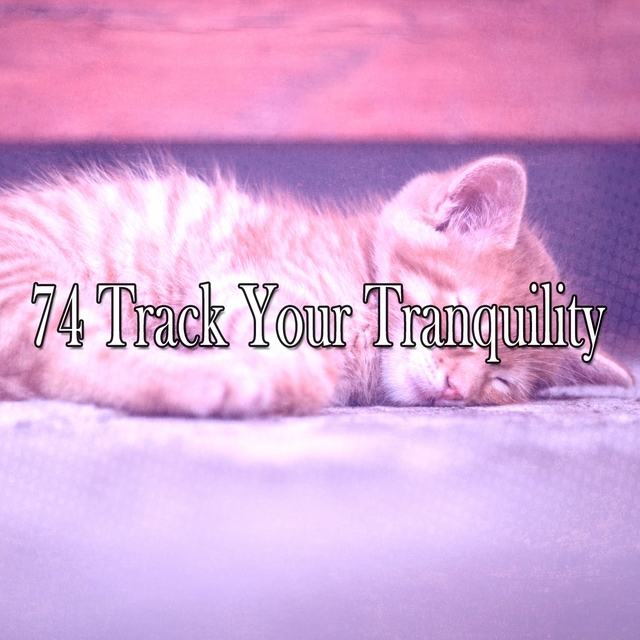 74 Track Your Tranquility