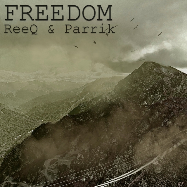 Couverture de Freedom