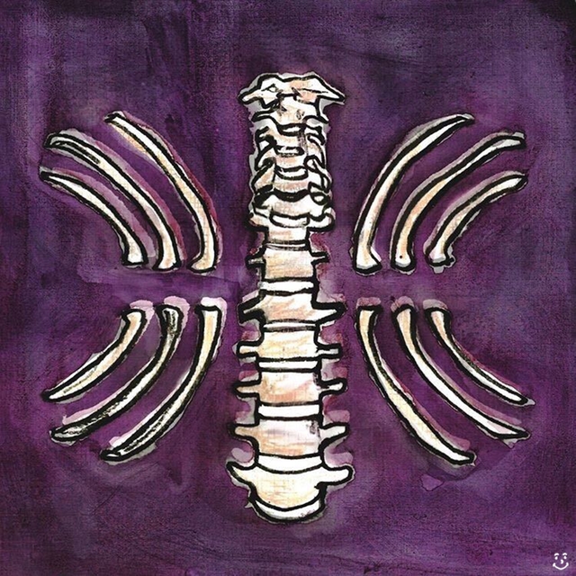 Couverture de Vertebrae