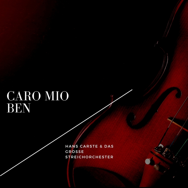 Couverture de Caro mio ben