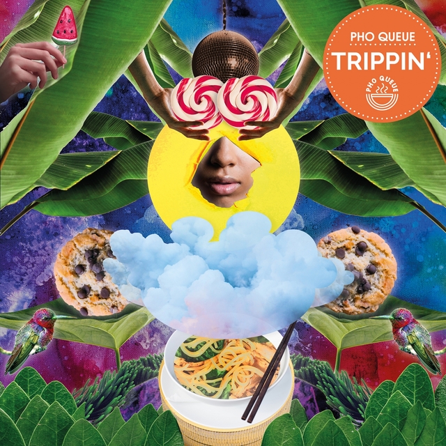 Couverture de Trippin'