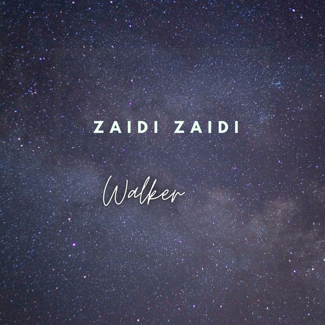 Couverture de Zaidi Zaidi