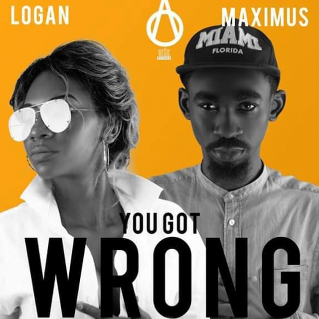 Couverture de You Got Wrong