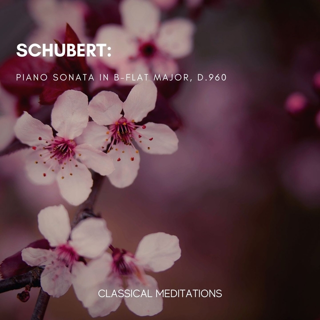 Franz Schubert: Piano Sonata in B-Flat Major, D. 960