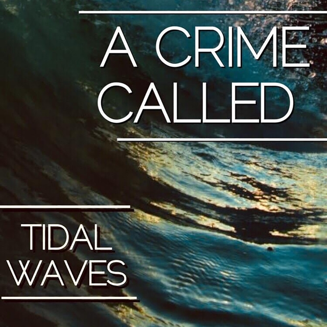 Couverture de Tidal Waves