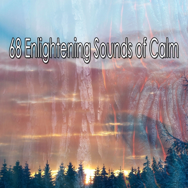 Couverture de 68 Enlightening Sounds of Calm