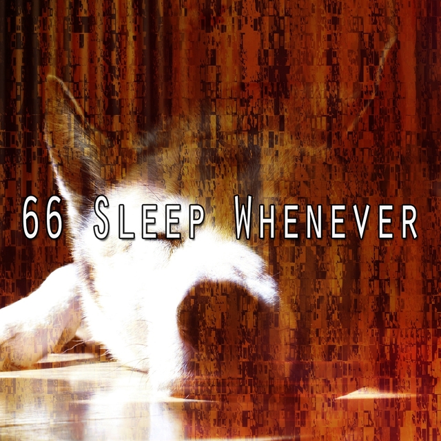 Couverture de 66 Sleep Whenever