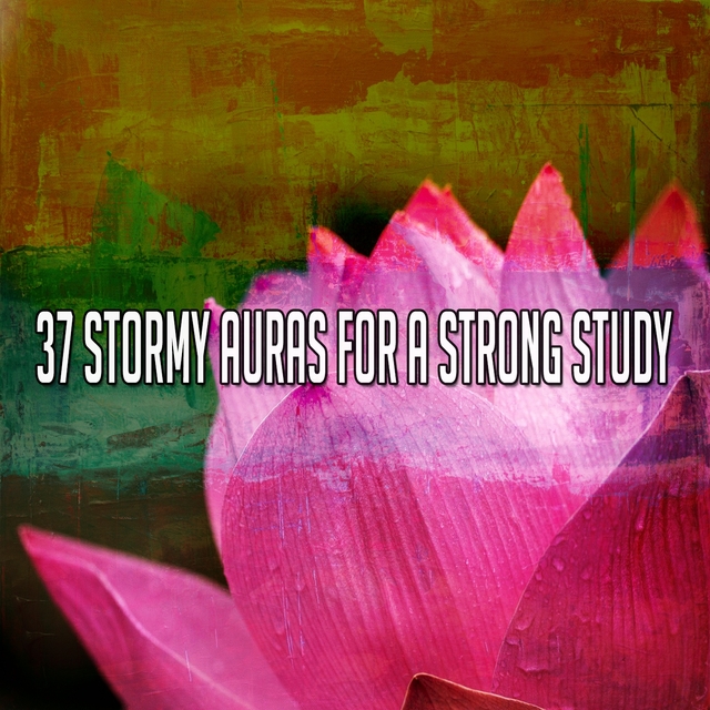 37 Stormy Auras for a Strong Study