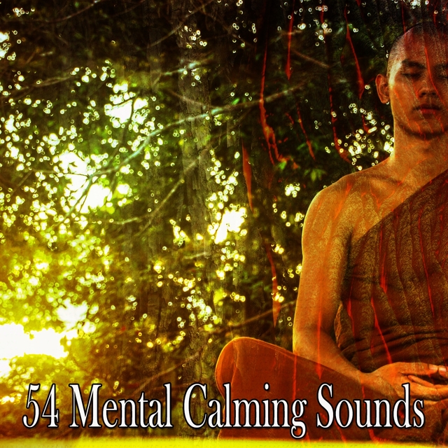 Couverture de 54 Mental Calming Sounds