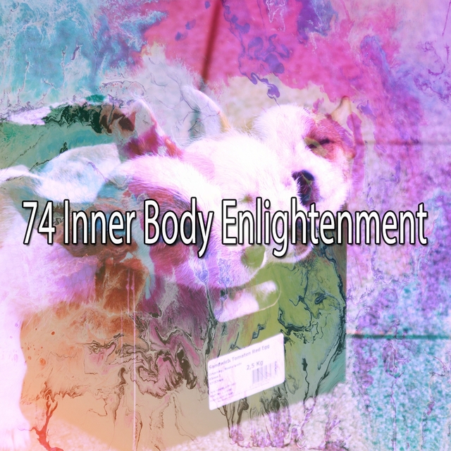 Couverture de 74 Inner Body Enlightenment