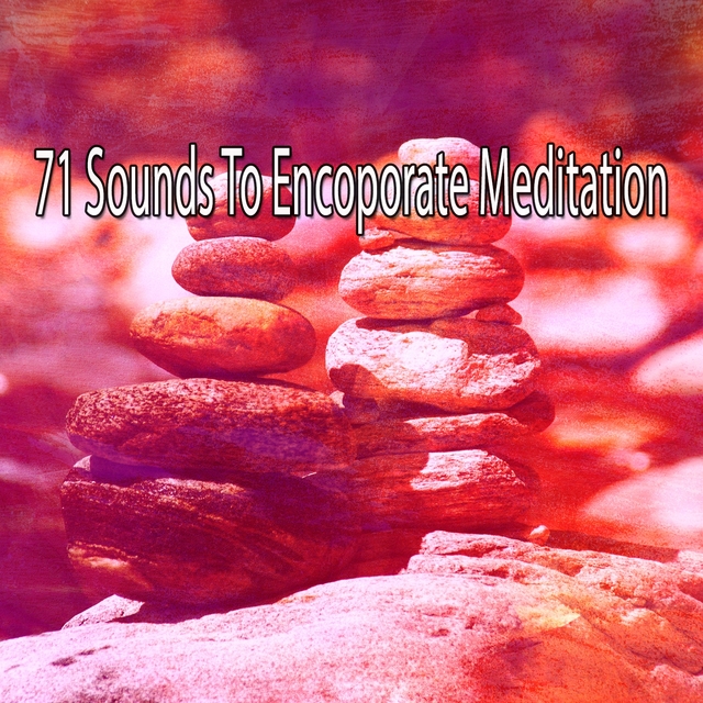 Couverture de 71 Sounds to Encoporate Meditation