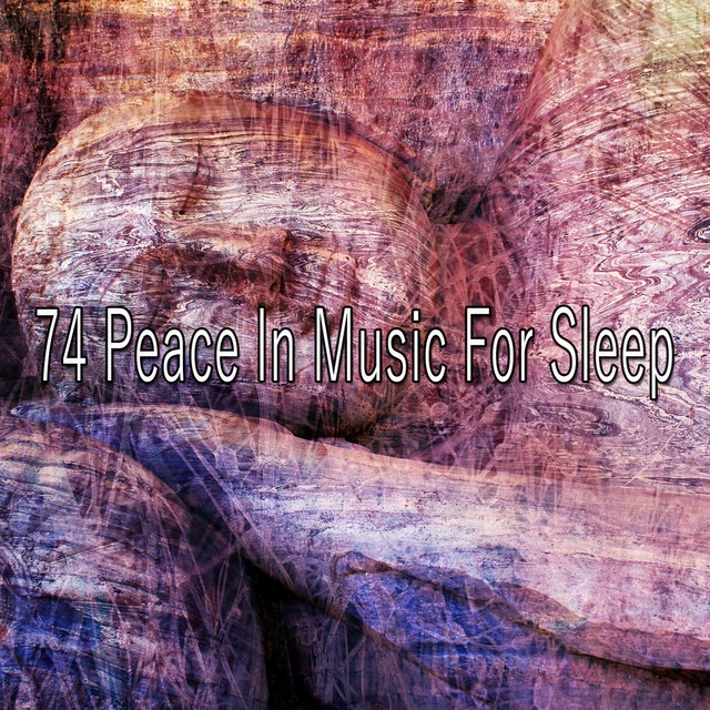 Couverture de 74 Peace in Music for Sle - EP