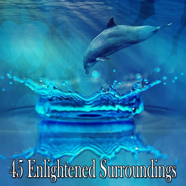 Couverture de 45 Enlightened Surroundings