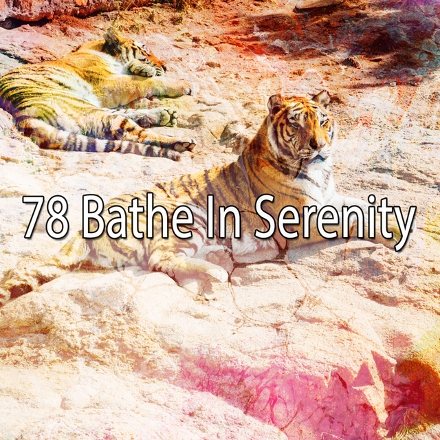 78 Bathe in Serenity