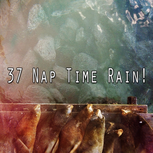 37 Nap Time Rain!