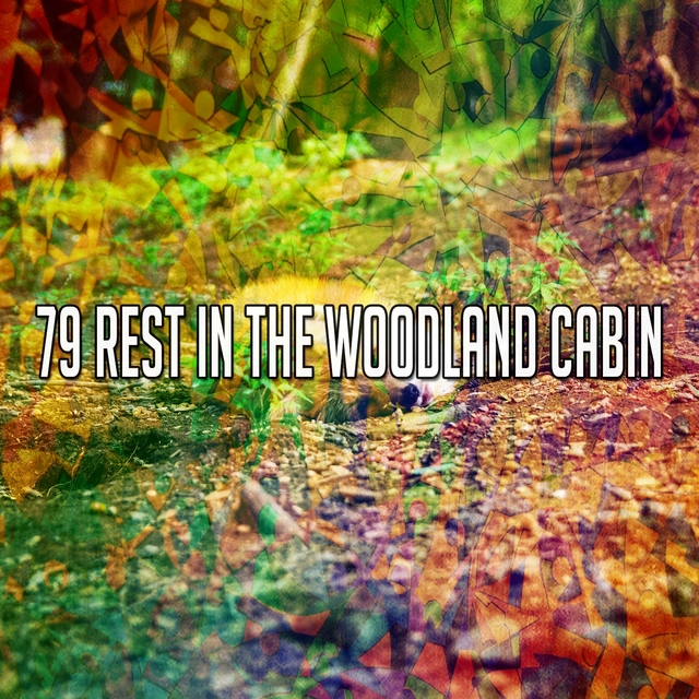 79 Rest in the Woodland Cabin