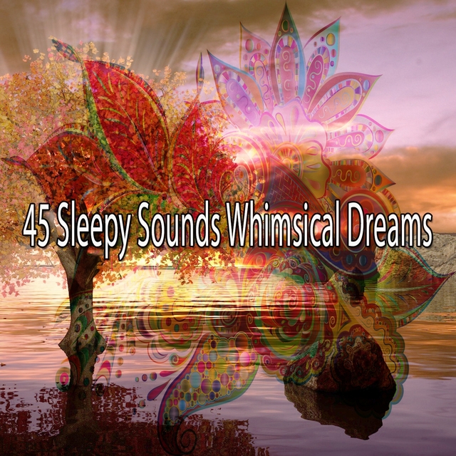 Couverture de 45 Sleepy Sounds Whimsical Dreams