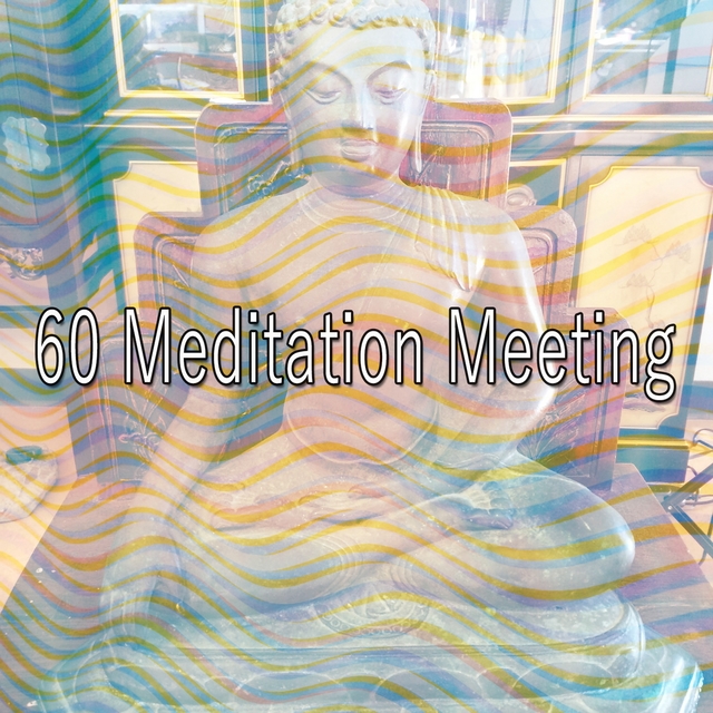 Couverture de 60 Meditation Meeting