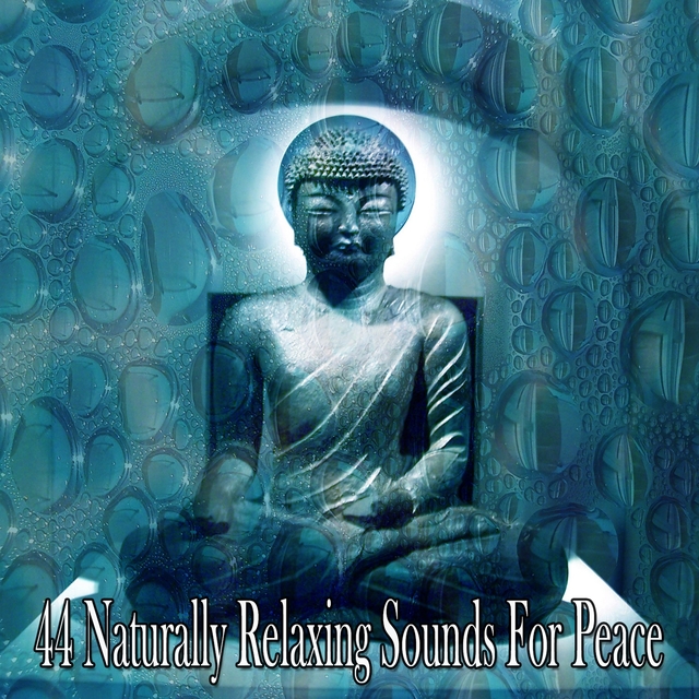 Couverture de 44 Naturally Relaxing Sounds for Peace