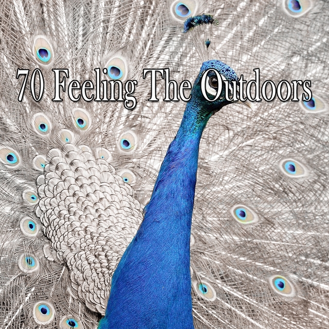 Couverture de 70 Feeling the Outdoors