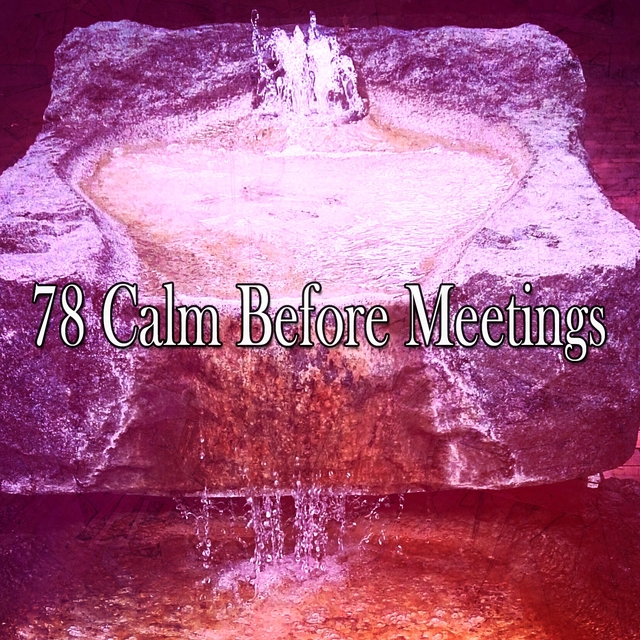 Couverture de 78 Calm Before Meetings