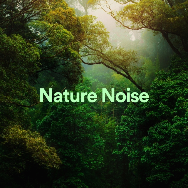 Couverture de Nature Noise