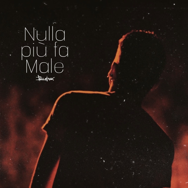 Couverture de Nulla più fa male