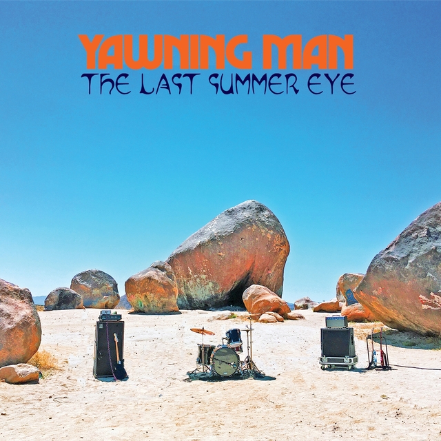 Couverture de The Last Summer Eye