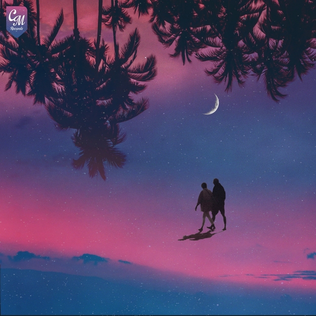 Couverture de Night Walks