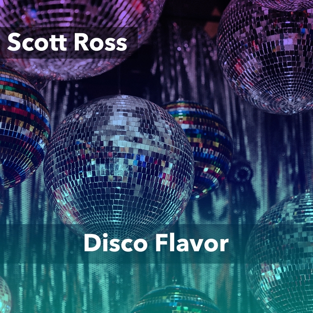 Couverture de Disco Flavor