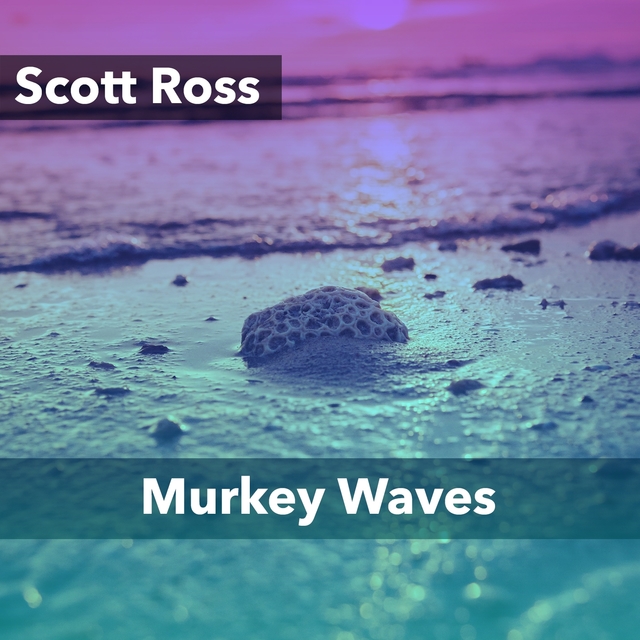 Couverture de Murkey Waves