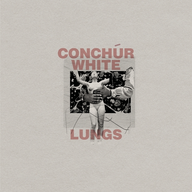 Couverture de Lungs