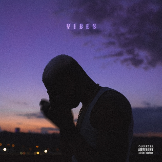 Couverture de Vibes