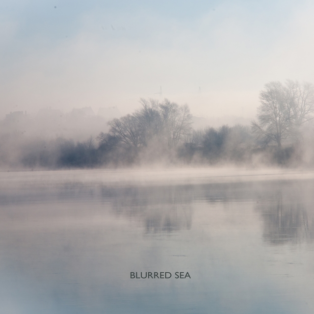 Couverture de Blurred Sea