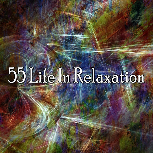 Couverture de 55 Life in Relaxation