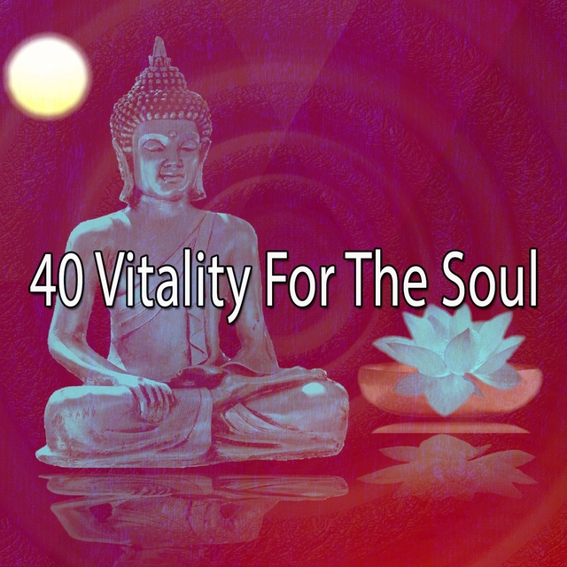 40 Vitality for the Soul