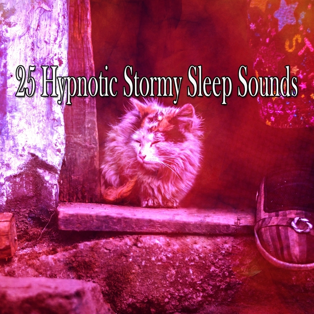 25 Hypnotic Stormy Sleep Sounds