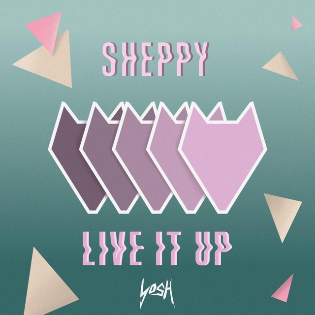 Couverture de Live It Up