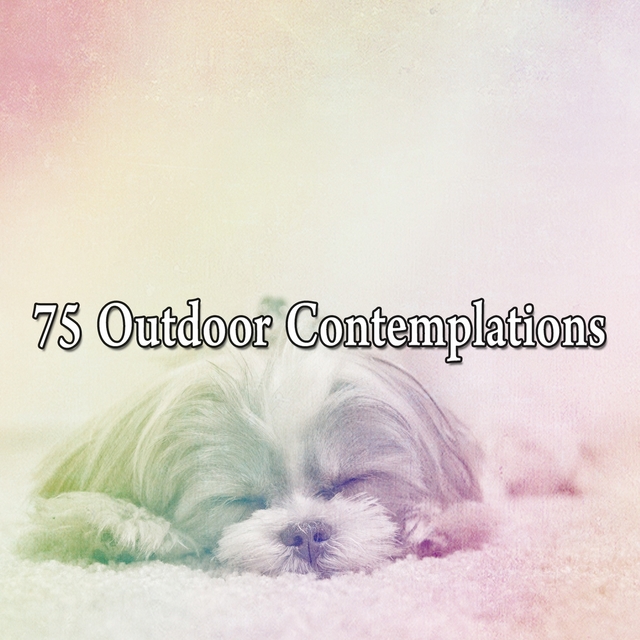 75 Outdoor Contemplations