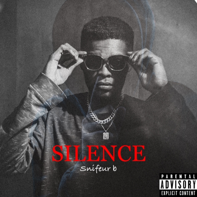 Couverture de Silence