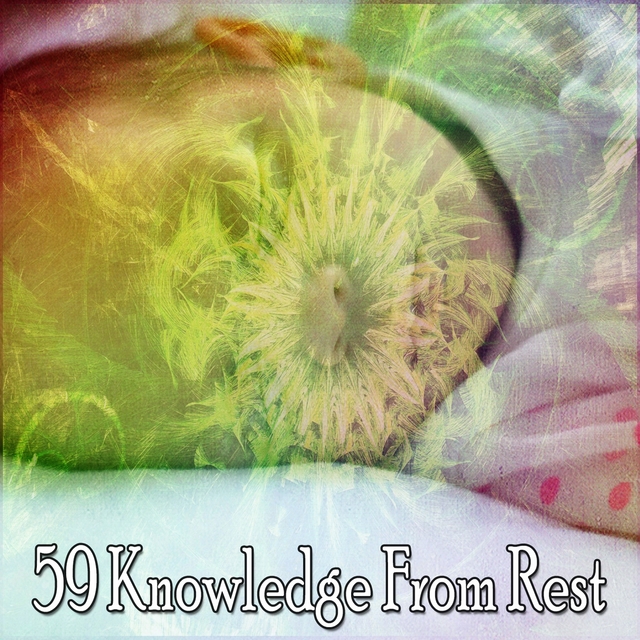 Couverture de 59 Knowledge from Rest