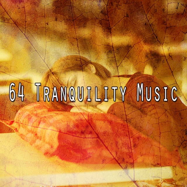 64 Tranquility Music